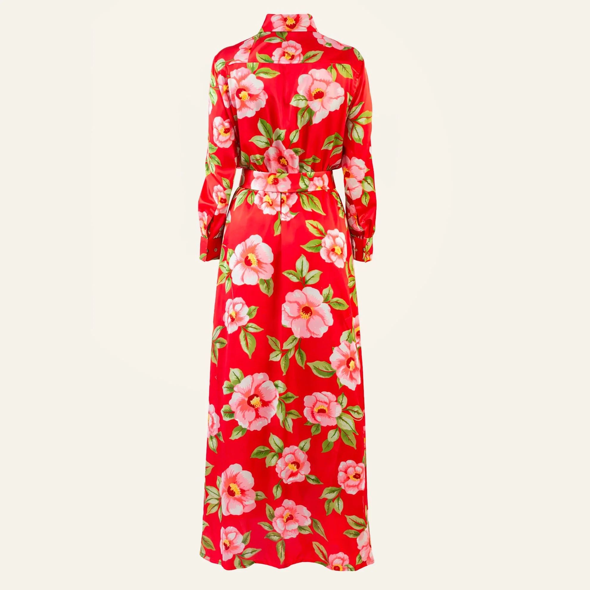 Beguiling Silk Gown - Image 4